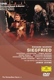 Der Ring des Nibelungen: 2. Tag - Siegfried (1990)