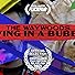 Primary photo for The Waywoods: Living in a Bubble Primary photo for The Waywoods: Living in a Bubble