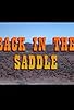 Primary photo for Blazing Saddles: Back in the Saddle Primary photo for Blazing Saddles: Back in the Saddle