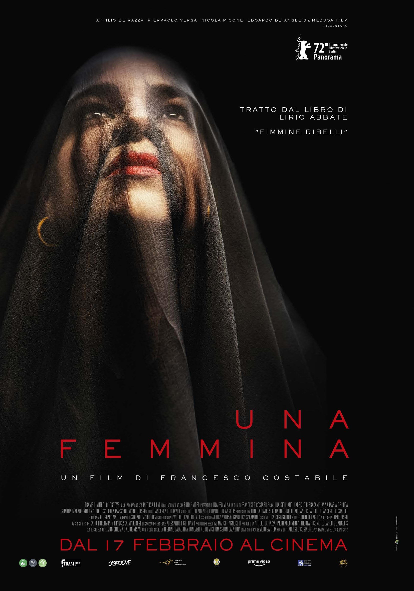 Poster of Una femmina
