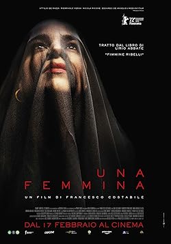 Poster of Una femmina