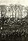 Lincoln's Gettysburg Address's primary photo