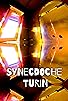 Primary photo for Synecdoche Turin