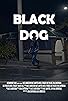 Primary photo for Black Dog Primary photo for Black Dog