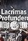 2024 - Lacrimas Profundere's primary photo
