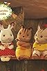 Primary photo for Sylvanian Families