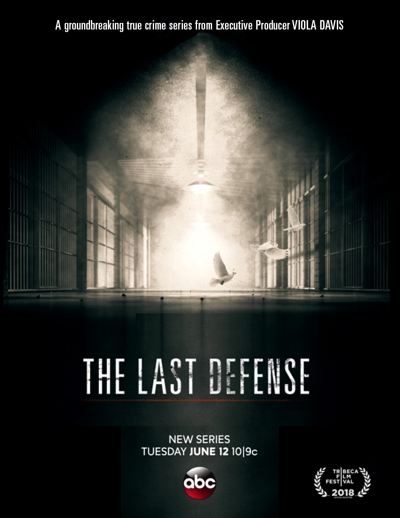 Poster of The Last Defense