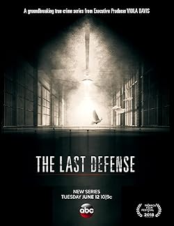Poster of The Last Defense