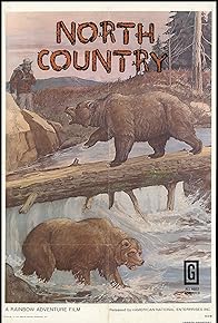 Primary photo for North Country