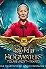 Primary photo for Harry Potter: Hogwarts Tournament of Houses Primary photo for Harry Potter: Hogwarts Tournament of Houses