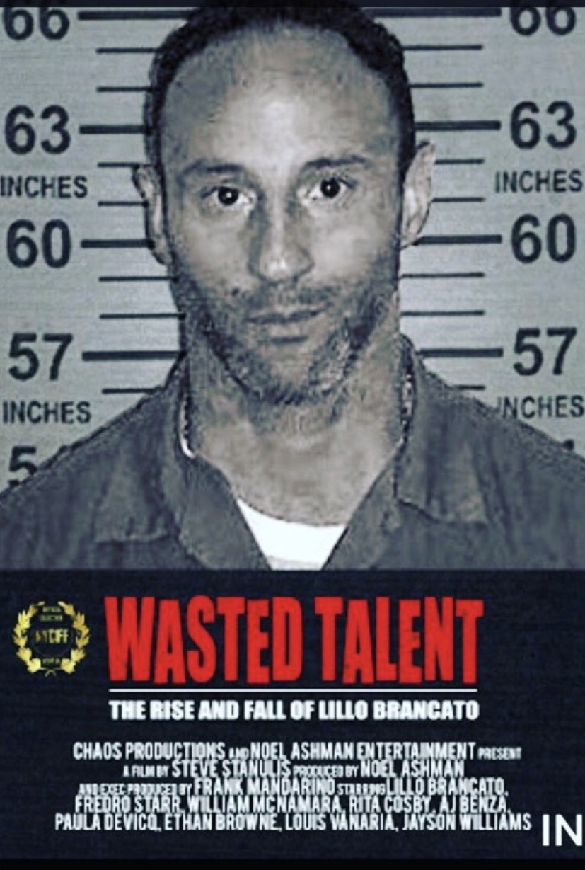 Poster of Wasted Talent