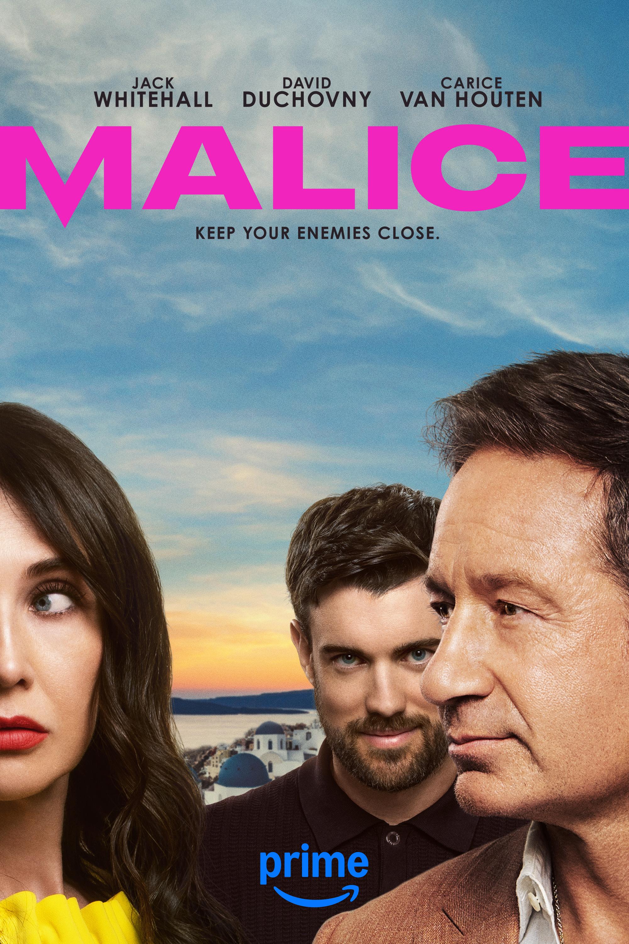 Poster of Malice
