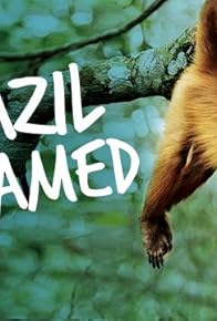 Primary photo for The Pantanal