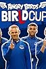 Primary photo for Angry Birds BirLd Cup
