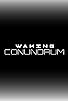 Primary photo for Waking Conundrum Primary photo for Waking Conundrum