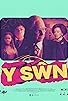 Primary photo for Y Swn