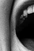 Primary photo for Mating Call Primary photo for Mating Call