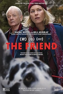 Poster of The Friend