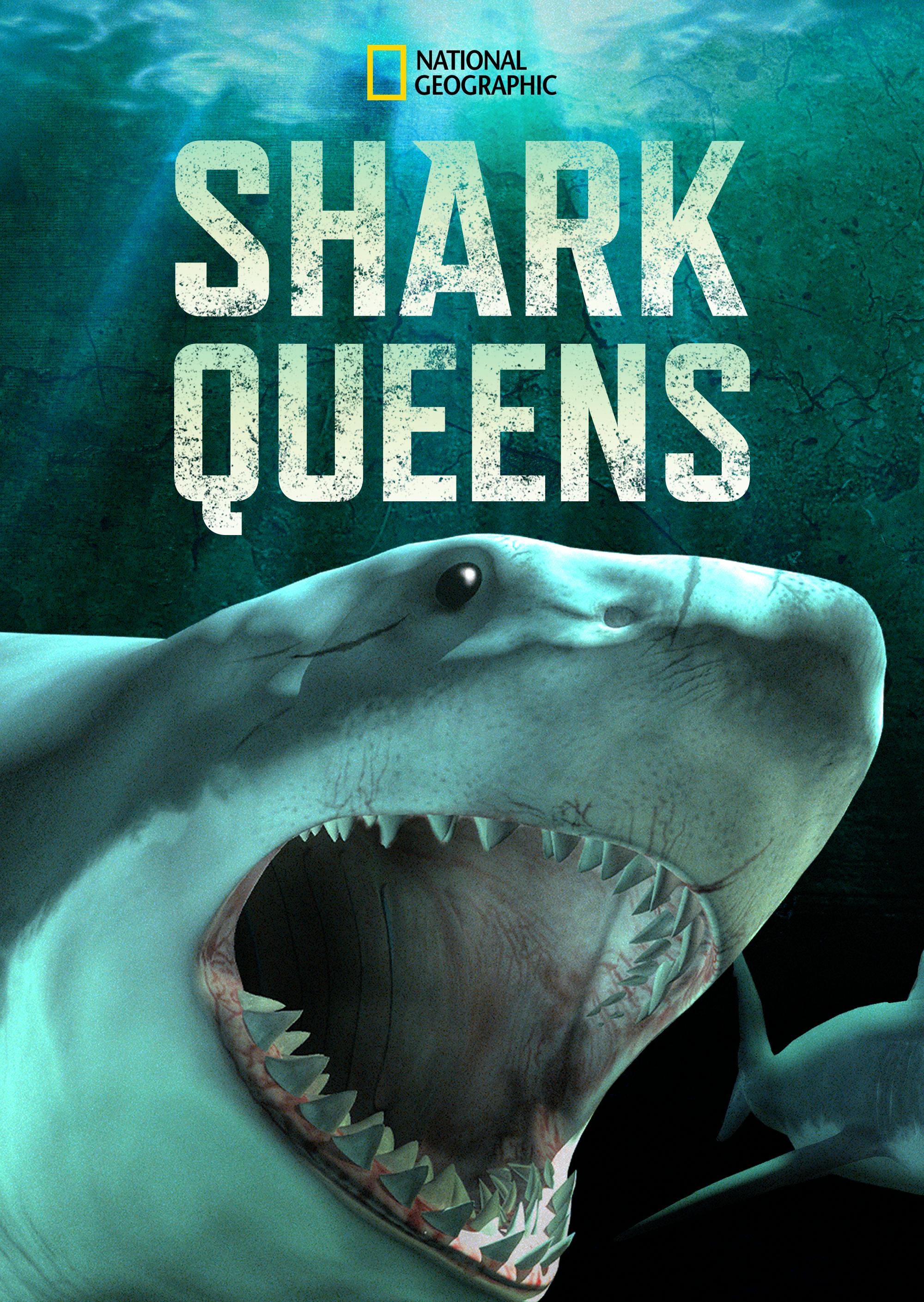 Poster of Shark Queens