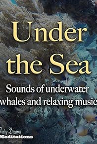 Primary photo for Under the Sea