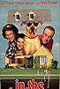 Primary photo for In the Doghouse Primary photo for In the Doghouse