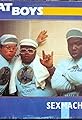 Fat Boys: Sex Machine's primary photo