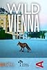 Primary photo for Wild Vienna