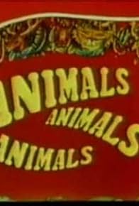 Primary photo for Animals, Animals, Animals