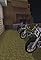 All the Dirt Bikes's primary photo