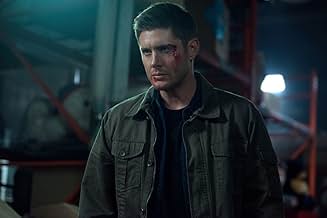 पोस्टर देखें