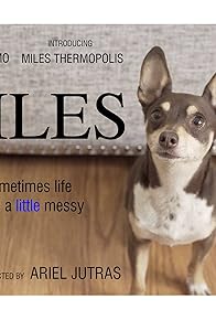 Primary photo for Miles