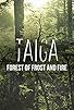 Primary photo for The Last Roar of the Taiga