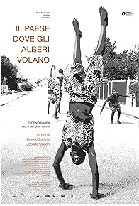 Primary photo for Il paese dove gli alberi volano