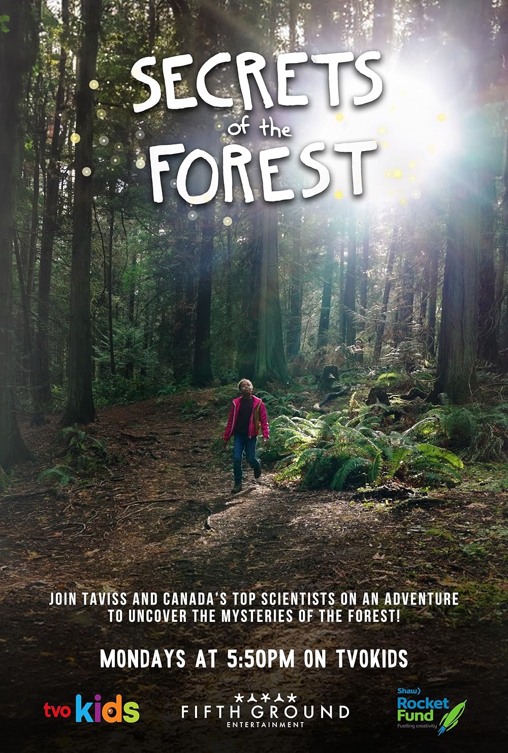 Secrets of the Forest (Fernsehserie 2024 ) Liste der Folgen IMDb