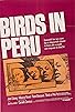 Primary photo for Birds in Peru