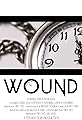 Wound's primary photo