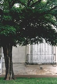 Primary photo for The Tree