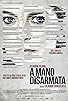 Primary photo for A mano disarmata