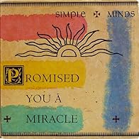 Primary photo for Simple Minds: Promised You a Miracle