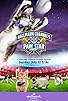 Primary photo for Paw Star Game Primary photo for Paw Star Game