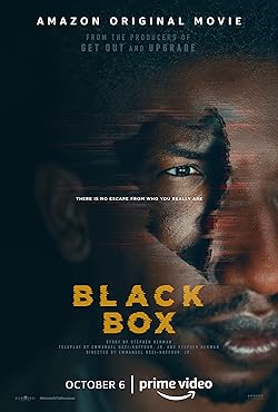 Poster of Black Box