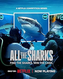 Poster of All The Sharks
