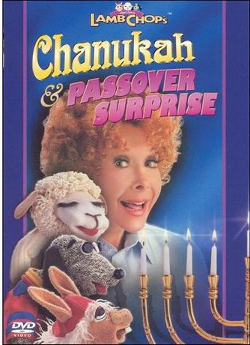 その他 Activity TV: Hanukkah Fun 1 [DVD] その他 Activity TV: Hanukkah Fun 1 [DVD] Amazon.com
