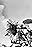 M. Matsyutsia's primary photo