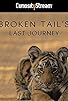 Primary photo for Broken Tail Primary photo for Broken Tail