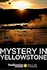 Primary photo for Mystery in Yellowstone Primary photo for Mystery in Yellowstone