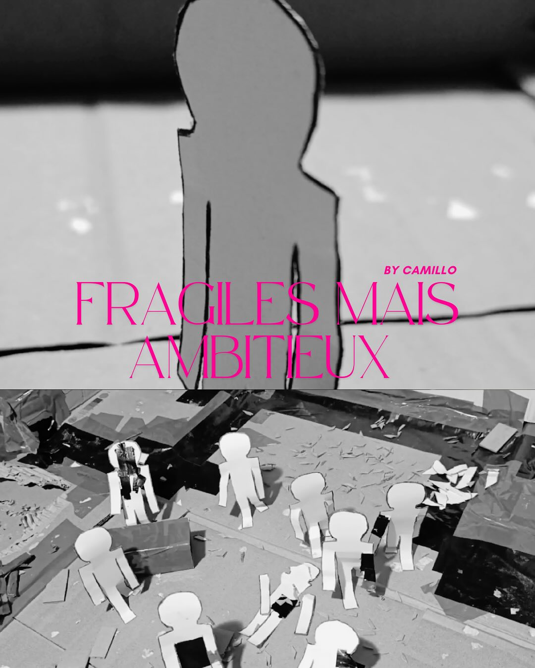 Fragiles Mais Ambitieux