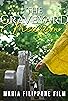 Primary photo for The Graveyard Medium