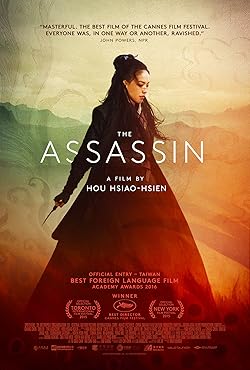 Poster of The Assassin