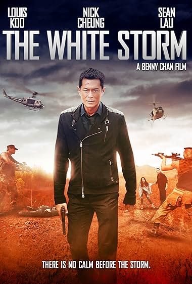 The White Storm 2013